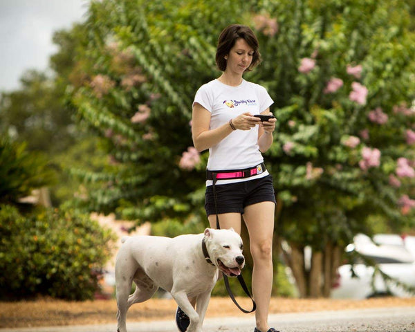 Squishy Face Studio Hands Free Dog Leash Belt