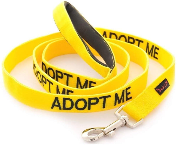 Dexil Limited Adopt ME Yellow Color Coded 2 4 6 Foot Padded Handle Dog Leash (New Home Needed) Donate to Your Local Charity