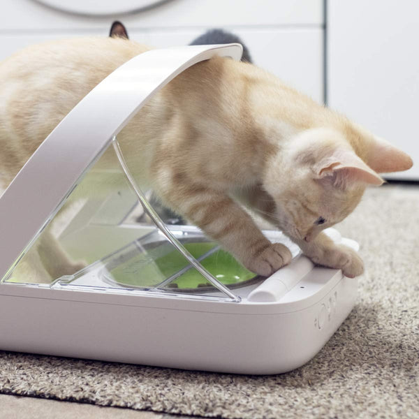 SureFeed Microchip Pet Feeder