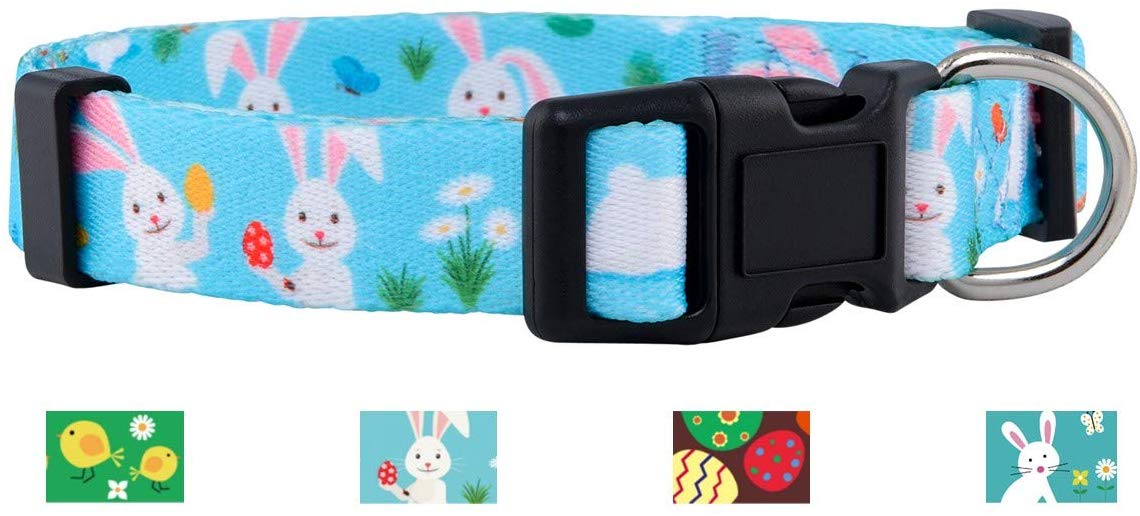 Native Pup Easter Dog Collar