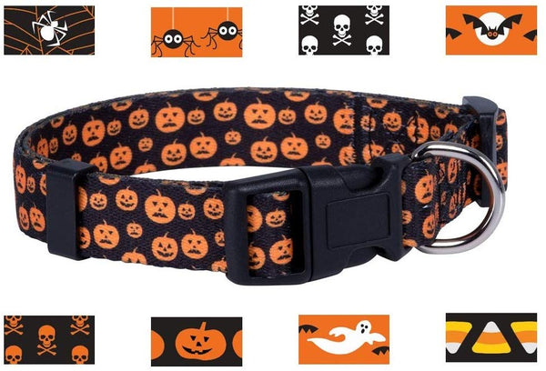 Native Pup Halloween Dog Collar