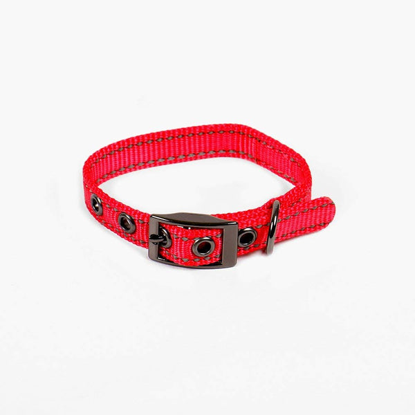 Max and Neo MAX Reflective Metal Buckle Dog Collar - We Donate a Collar to a Dog Rescue for Every Collar Sold