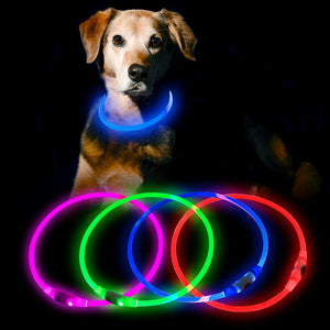 HiGuard LED Dog Collar USB Rechargeable Glowing Pet Collars Lighted Up Safety Necklace Glow in The Dark for You & Your Dogs