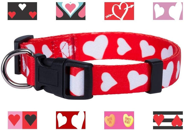 Native Pup Valentine's Day Heart Dog Collar