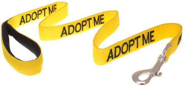 Dexil Limited Adopt ME Yellow Color Coded 2 4 6 Foot Padded Handle Dog Leash (New Home Needed) Donate to Your Local Charity