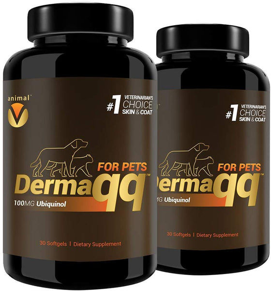 Dermaqq Best Absorption Ubiquinol - CoQ10 for Dogs and Cats Hot Spots, Hair Loss, Dermatitis Support (2 Boxes - 100MG softgels)