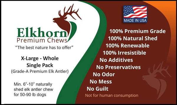 X Large, Whole, Single Pack - Grade A Premium Elk Antler Dog Chew for 50 to 90 lb Dogs – Naturally shed from Wild elk – No Mess, No Odor – Made in The USA