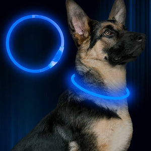 BSEEN LED Dog Collar, USB Rechargeable, Glowing Pet Dog Collar for Night Safety, Fashion Light up Collar for Small Medium Large dogs