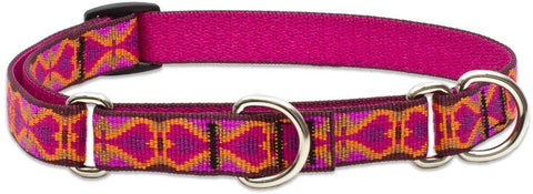 Lupine 3\/4-Inch Heart 2 Heart Martingale Combo Collar for Medium to Large Dogs