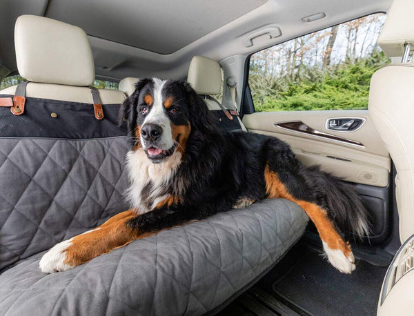 PetSafe Solvit Premium Quilted Seat Cover - Bench, Hammock, Bucket for Cars, SUVs and Trucks - Waterproof