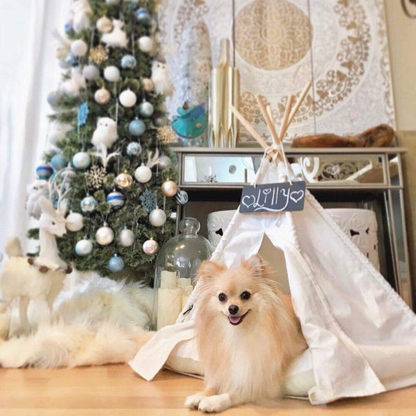 little dove Pet Teepee Dog(Puppy) & Cat Bed - Portable Pet Tents & Houses for Dog(Puppy) & Cat Beige Color 24 Inch (with or Without Optional Cushion)