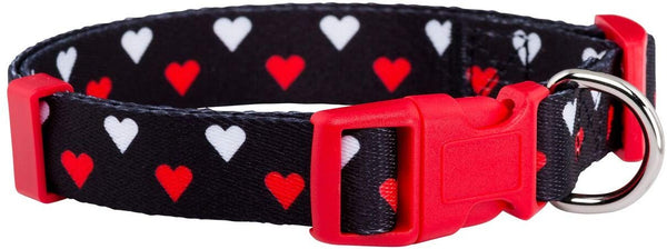 Native Pup Valentine's Day Heart Dog Collar