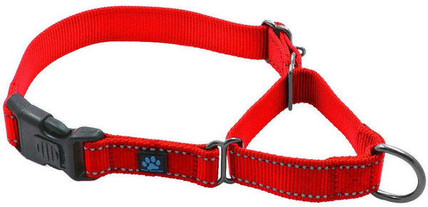 Max and Neo Nylon Martingale Collar - We Donate a Collar to a Dog Rescue for Every Collar Sold