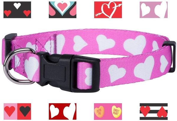 Native Pup Valentine's Day Heart Dog Collar