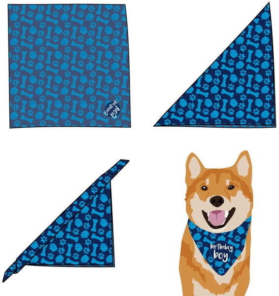 hecho Dog Birthday Bandana - Boy