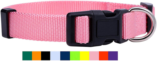 Native Pup Nylon Dog Collar Classic Solid Colors