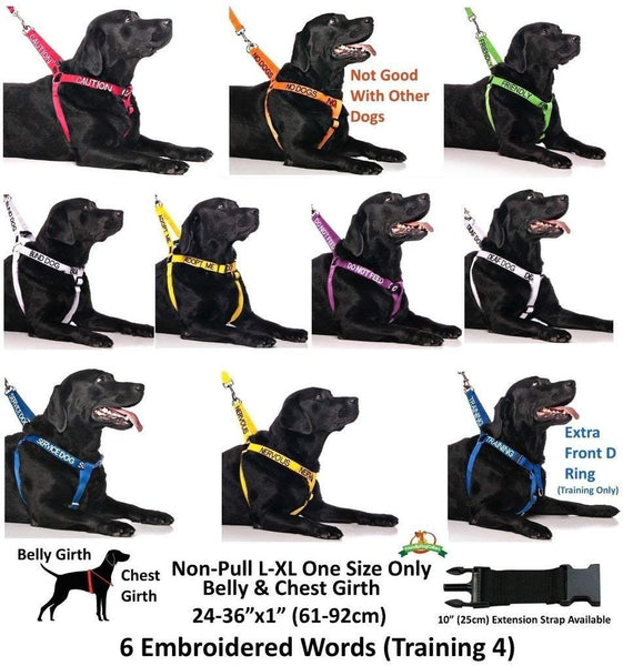 BLIND DOG White Color Coded Alert Warning 2 4 6 Foot Padded Dog Leash (No\/Limited Sight) PREVENTS Accidents By Warning Others of Your Dog in Advance