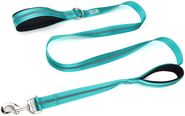 DCbark Dual Handle Lead, Double Padded Traffic Handle Dog Leash, Reflective Leash with 2 Comfortable Handles