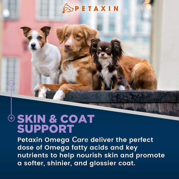 Petaxin Omega 3 Fish Oil for Dogs Chew - with EPA, DHA, and Biotin - Supports Healthy Skin, Shiny Coat, Hips & Joints, Heart Health, and Brain Function - Skin and Coat Supplement - Non-GMO - 120 Ct.