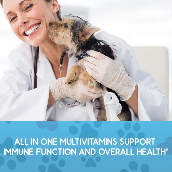 Ready Pet Go! Dog Multivitamin Treats for Dogs - Glucosamine for Dogs + Probiotics for Dogs + Heart, Immune, Skin and Coat, Hip and Joint Dog Vitamins and Supplements - 6-in-1 Benefits - 90 Soft Chews