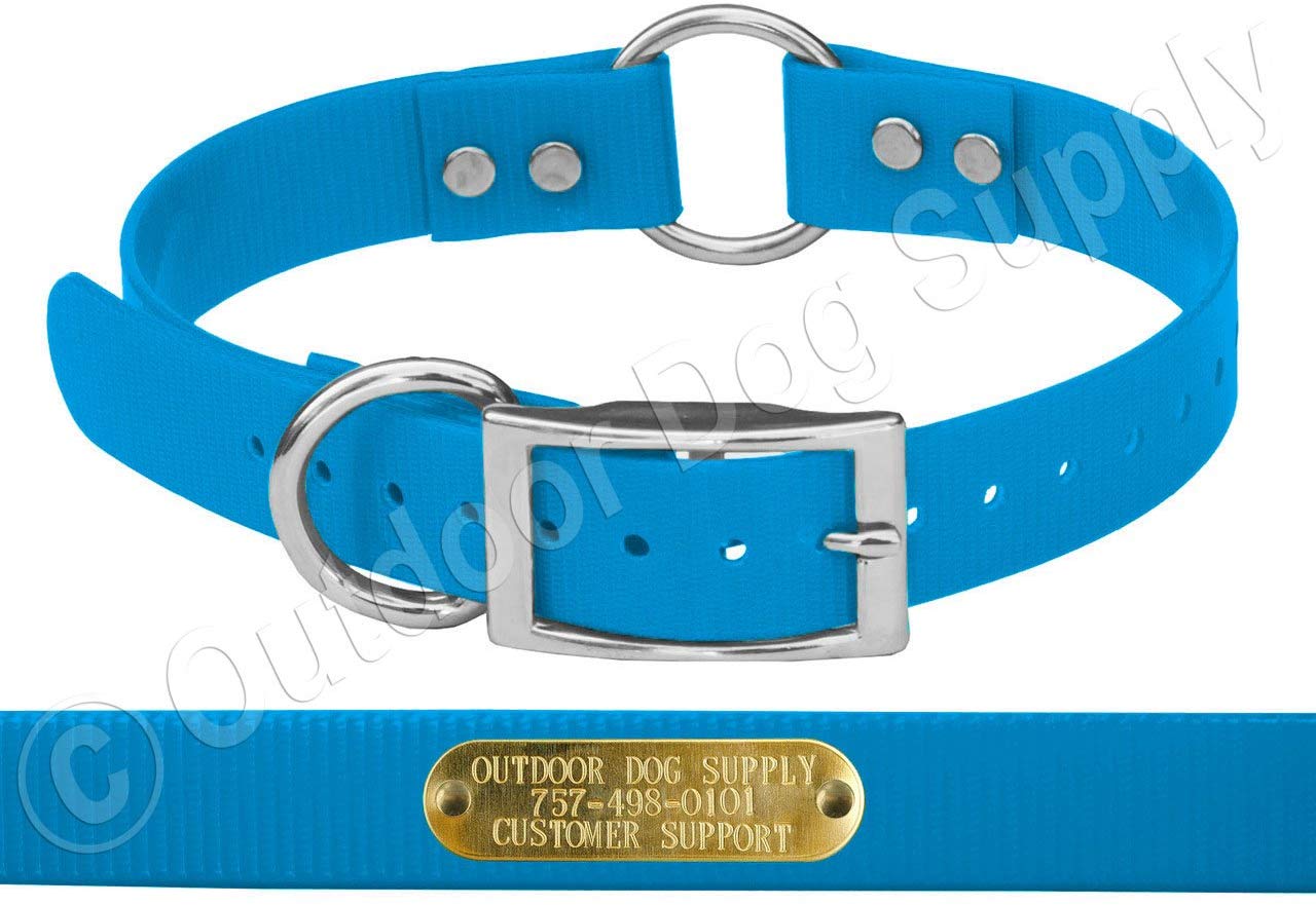 Outdoor Dog Supply's 1" Wide Solid Color Ring in Center Dog Collar Strap with Custom Brass Name Plate