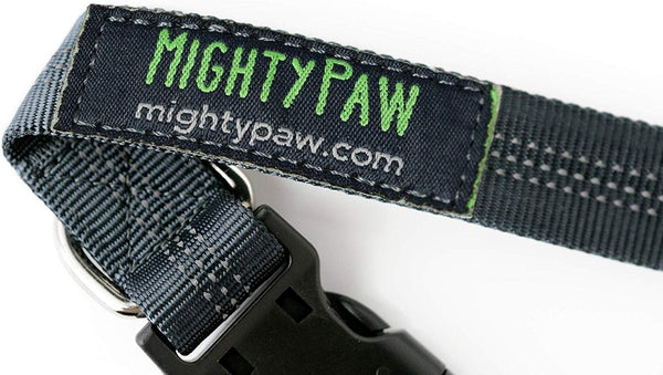 Mighty Paw Hands Free Dog Leash, Premium Running Dog Leash, Lightweight Reflective Bungee Dog Leash