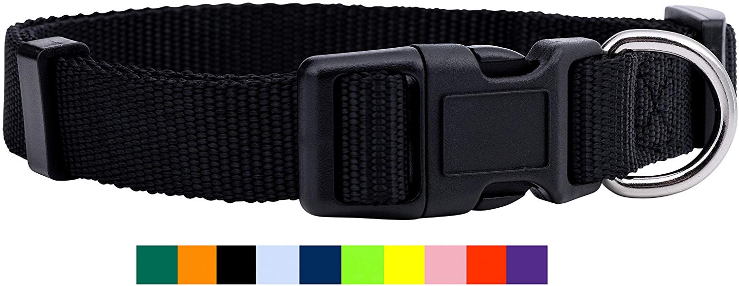 Native Pup Nylon Dog Collar Classic Solid Colors