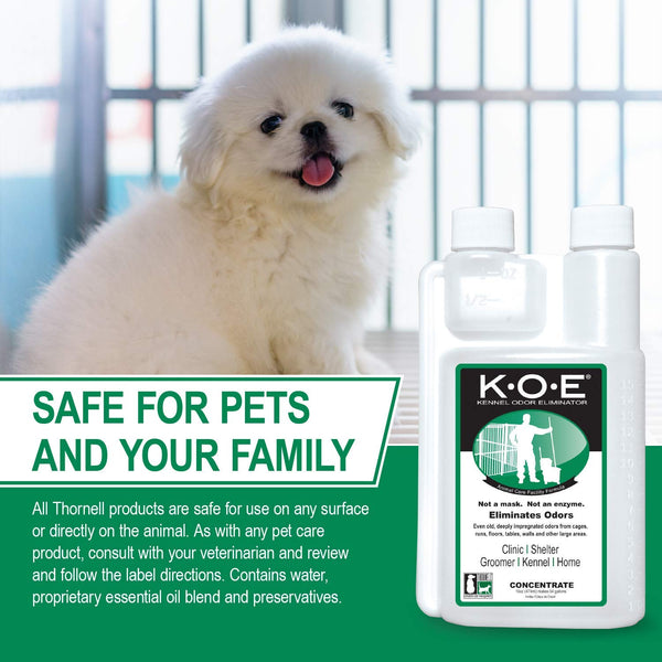 Thornell KOE-P K.O.E Kennel Odor Eliminator Concentrate