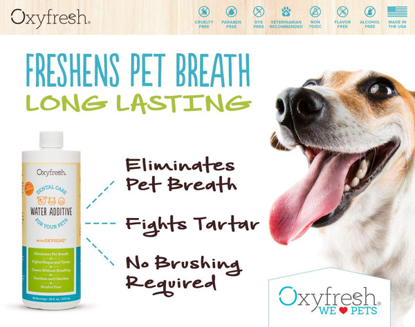 Oxyfresh Premium Pet Dental Care Solution: Best Way to Eliminate Bad Dog Breath & Cat Breath - Fights Tartar, Plaque & Gum Disease! - So Easy, just add to Water! Vet Recommended!