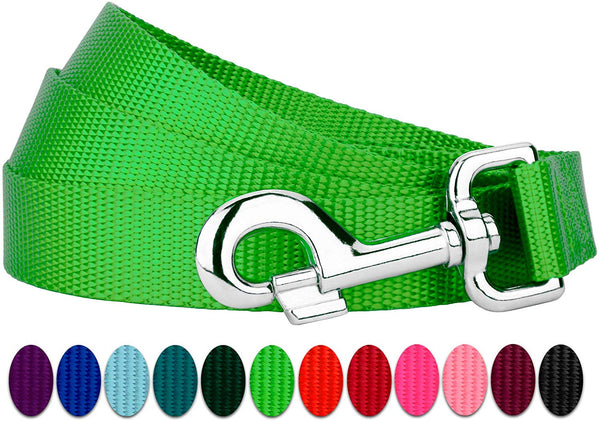 Country Brook Petz - Vibrant 13 Color Selection - Heavyduty Doublehandle Nylon Leash (6 Foot, 1 Inch Wide)