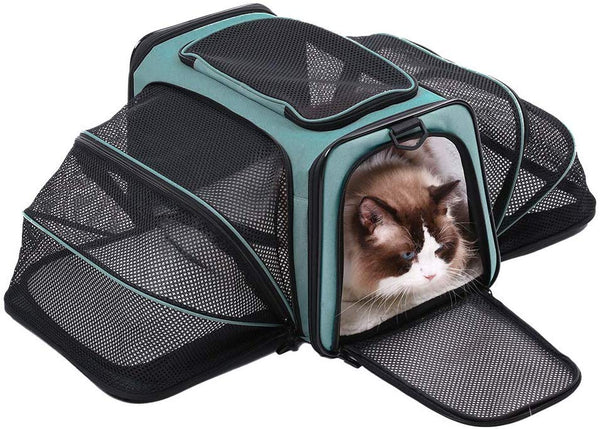 Akinerri Airline Approved Pet Carriers,Soft Sided Collapsible Pet Travel Carrier for Medium Puppy and Cats …