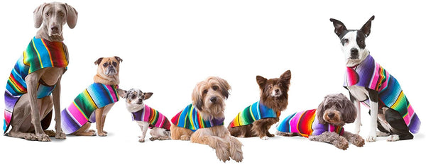 Handmade Dog Poncho from Mexican Serape Blanket - Dog Clothes - Coat - Costume - Sweater - Vest