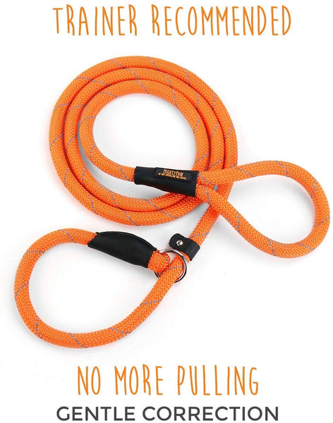 Mighty Paw Slip Rope Dog Leash | 6 ft, One-Size-Fits-All, Slip-On Rope Leash. Easy to Slip On, No Collar or Harness Needed. Durable & Weather Resistant Climbers Rope with Reflective Stitching (Orange)