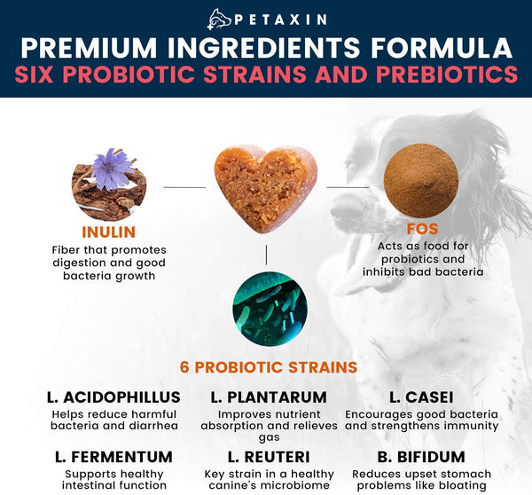 Petaxin Probiotics for Dogs - 6 Strains with Prebiotics - Supports Digestive and Immune System – Relief for Diarrhea, Bad Breath, Allergies, Gas, Constipation, Hot Spots - Made in USA - 120 Chews