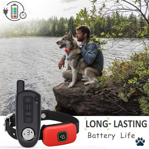 HOTLEA Dog Shock Collar with Remote, IP67 Waterproof Dog Training Collar, 3 Training Modes Suitable for Small/Medium/Large Dogs, up to 1300Ft Remote Range