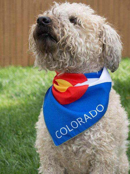 Colorado Flag Dog Bandana in 2 Sizes