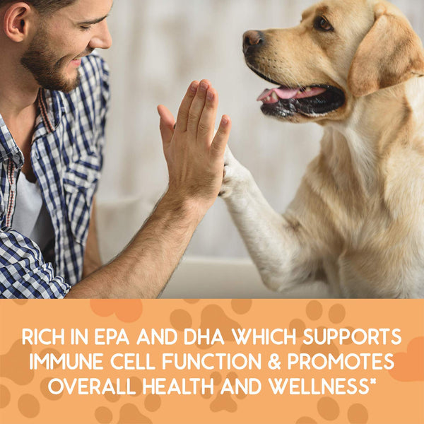 Ready Pet Go! Omega 3 for Dogs - Dog Shedding, Skin Allergy, Itch Relief, Mange and Hot Spots Treatment - EPA & DHA - Natural Joint Supplement for Dogs, Heart and Brain Health - 90 Fish Oil Soft Chews