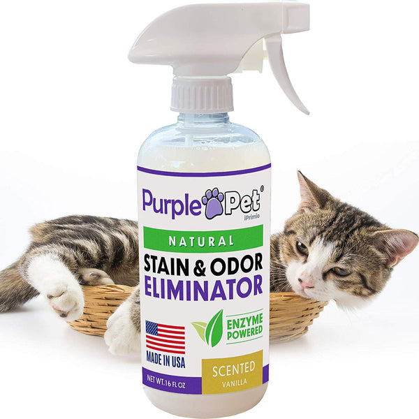 iPrimio Purple Pet Litter Urine Odor Eliminator Spray for Dogs and Cats - All Natural Enzyme Powdered - Made in USA