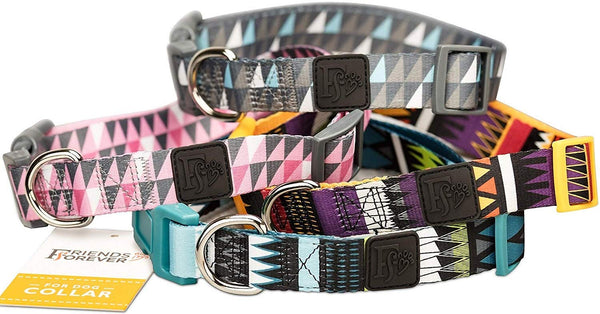 Friends Forever Dog Collar with Pattern Designed