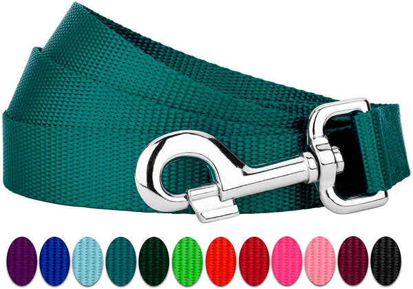 Country Brook Petz - Vibrant 13 Color Selection - Heavyduty Doublehandle Nylon Leash (6 Foot, 1 Inch Wide)