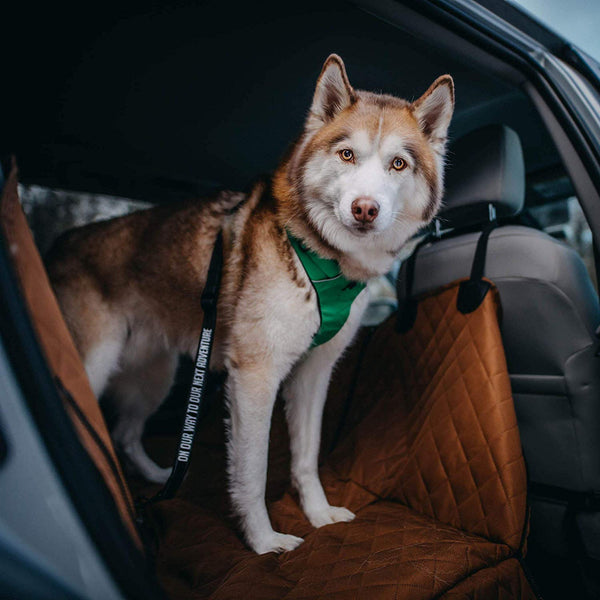 SÄKER All Metal Car Dog Tether - Safety Pet Restraint Fits Any Dog Harnesses - Can Be Used as a Traffic Leash, as a Backseat Attachment & in The Trunk