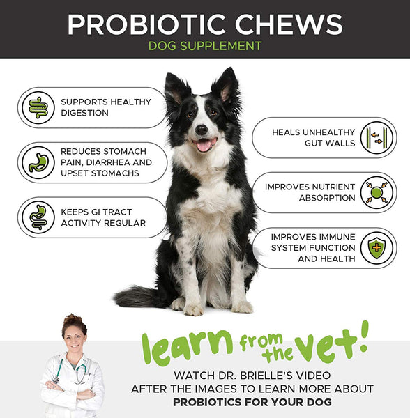 PetHonesty Probiotics for Dogs, 90 All-Natural Advanced Dog Probiotics Chews with Prebiotics, Relieves Dog Diarrhea and Constipation, Improves Digestion, Allergy, Hot Spots, Immunity & Health