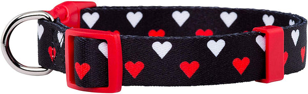 Native Pup Valentine's Day Heart Dog Collar