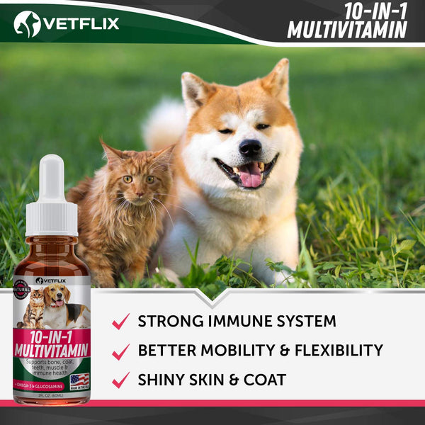 VETFLIX Pet Vitamins 10 in 1 - Made in USA - Glucosamine For Dogs & Cats - Dog Supplement for Pet Joint Health - Natural Cat & Dog Multivitamin - All Ages & Breeds - Folic Acid For Cats & Dogs Immune