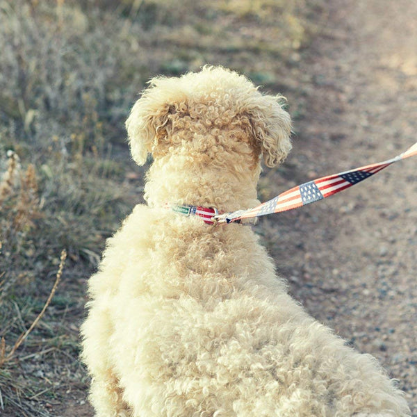 American Flag Dog Leash