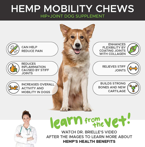 PetHonesty Hemp Hip & Joint Supplement for Dogs w\/Hemp Oil + Hemp Powder - Glucosamine Chondroitin for Dogs w\/Turmeric, MSM, Green Lipped Mussel, Dog Treats Improve Mobility, Reduces Discomfort