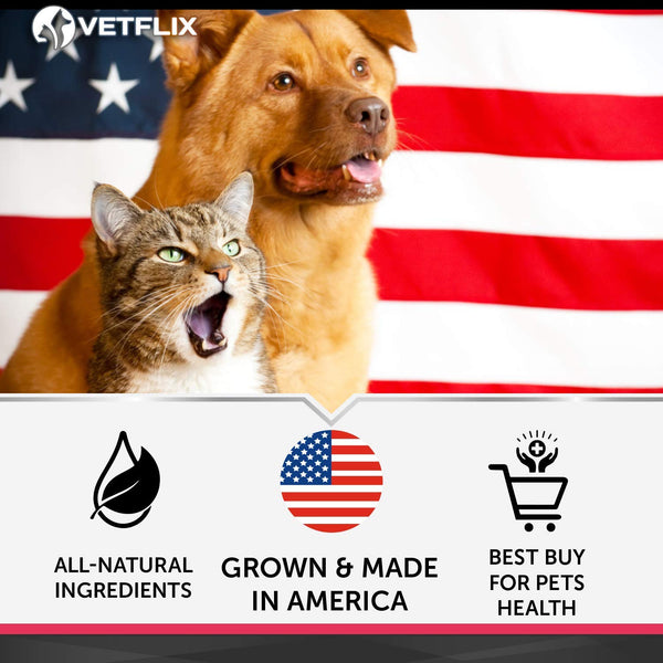 VETFLIX Pet Vitamins 10 in 1 - Made in USA - Glucosamine For Dogs & Cats - Dog Supplement for Pet Joint Health - Natural Cat & Dog Multivitamin - All Ages & Breeds - Folic Acid For Cats & Dogs Immune