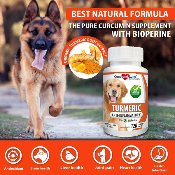 Vita Pet Life Turmeric for Dogs - Curcumin and BioPerine Anti Inflammatory Supplement, Antioxidant, Promotes Pain Relief, Prevents Joint Pain and Inflammation - 120 Natural Chew-able Tablets