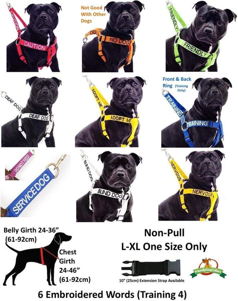 Dexil Limited Adopt ME Yellow Color Coded 2 4 6 Foot Padded Handle Dog Leash (New Home Needed) Donate to Your Local Charity