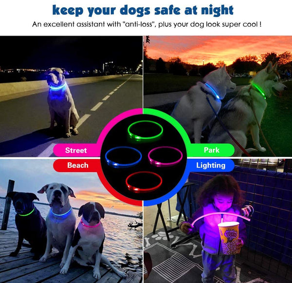 KABB LED Dog Collar, USB Rechargeable Glowing Dog Safety Collar for Night Time, Water Resistant Cuttable Light Up Dog Collar for Small Medium Large Dogs